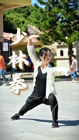 梦想如光，武术相伴，照亮前行的道路 Dreams are like light, accompanied by martial arts, lighting the way forward. #foryou #fyp #黄丽萍的拳头 #武术 #MartialArts #Kungfu #少林拳 #ShaolinBoxing #少林 #Shaolin