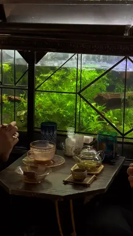 ここの喫茶店素敵 #おすすめ #喫茶店#fyp 