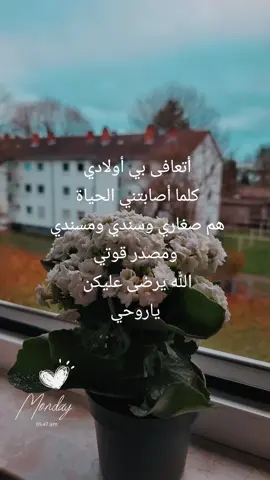 #وافوض_امري_الى_الله_ان_الله_بصير_بالعباد #اكسبلور #الشام #المانيا #بلدي #اكسبلورexplore #سوريا_تركيا_العراق_السعودية_الكويت_عمان  الله يرضى على أولادي 