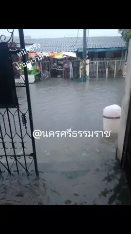 #น้ำท่วม#นครศรีธรรมราช