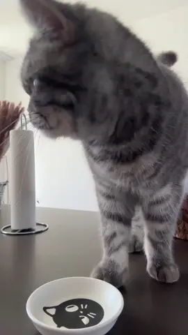 Hát nálunk ez nem működött 🤣