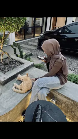 nakaaal🤏🏻 #fypシ #fypage #fy #cat 