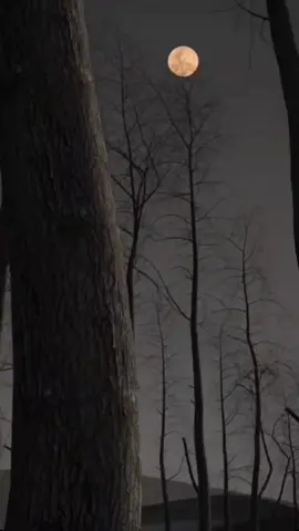 #CapCut To the one who holds my heart, I love you and I miss you so much ❤️ #jane_21111 #🧑‍🤝‍🧑❤️ #🤵👰 #foryou #fypシ #tiktokui #tiktok #รักทางไกล✈️💕 #ระยะทางไม่ใช่ปัญหา #ความรักเป็นสิ่งที่สวยงาม 