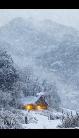 snow fall ##viralditiktok #cozycabindreams #heavysnowfall #relaxation #viral_video #plzunfreezmyaccuont #100k #fyp 