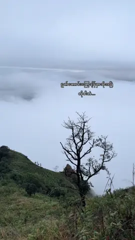 ဟောင်းပြီ   2024  ရဲ့နောက်ဆုံးလကိုရောက်လို့လာပြီ မကြာခင်မှာဘဲ 2025 ကို ရောက်တော့မယ် နှစ်သစ်မှာ ကိုယ့်အတွက်ပျော်ရွှင်မှုတွေဘဲဖန်းတီးအောင်နေဖို့မမေ့ကြနှင့်နော် 🎄💖 #backtoreality #December #lyrics #ဟောင်းပြီ 