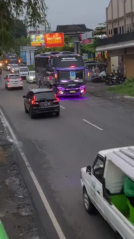 sesekali konten bis bisan hehee😂 @phdtrans @PatrickSoetedjo #phdtrans #phdtransnganjuk #purplegank💜 