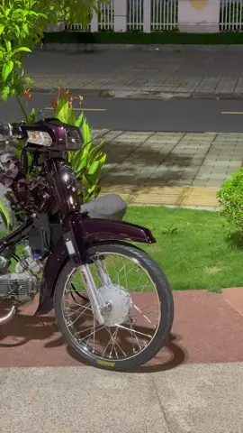 quay qua quay lại, lại đến tết lẹ quá #xuhuong #fypシ゚ #bentre71 #dream54td 