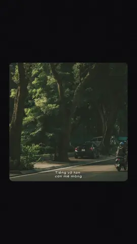 Không khí lạnh đã tràn xuống nước ta… #quoteoftheday #nhachaymoingay #capcutmaster #CapCut #xuhuong 