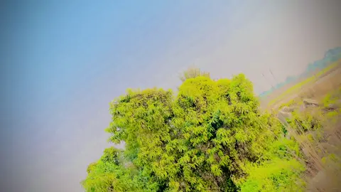 𝐒𝐨𝐫𝐫𝐲 𝐒𝐨𝐫𝐫𝐲 𝐤𝐚𝐡𝐚𝐭𝐚𝐫𝐮 🙏❤️‍🩹#viral #frypgシ #ktmmuser🇳🇵 #rauto🖤 #itz_pgl01 #miss_you_forever🖤 #rautfamily❤️ #patel 