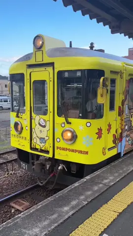 Long ver🎞️:please check my Instagram! ポムポムプリン鉄道🐶🚃 真っ黄色でかわいかった〜🍮💛 #ポムポムプリン #京都丹後鉄道 #train#railway#pompompurin##kyototravel #電車#鉄道#丹後鉄道#폼폼푸린#京都#舞鶴#布丁狗#京都旅行