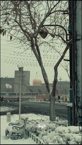 مشهدٌ أشبه بالحلم.. في مشهدِ الرؤوف، بياضُ ثلوج الشتاء تؤنس أرواحَ الزائرين وحرارة قلوبهم، فأهدتهم سكينتها، برحمةٍ رضويةٍ لا حدود لها. #مشهد #الامام_الرضا #ثلوج #قناة_كربلاء 