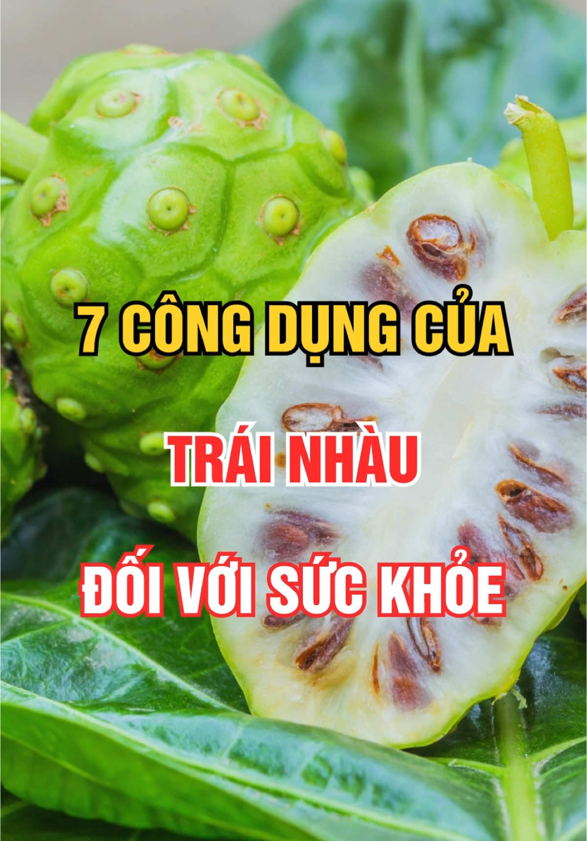 Công dụng của Trái Nhàu đối với sức khoẻ #trainhau #glucareplus #addp #duocphamaddp #healthy  