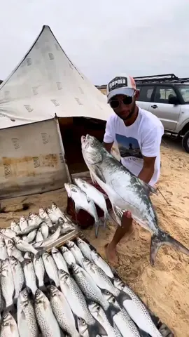 كلمعتلد نشركو معاكم الحصيلة احبائي 😍☝️🐟#tiktok_india #fishing #tik_tok #fyp #fyp #fyp #fyp #you #usa #fyppppppppppppppppppppppp #f #usa_tiktok #loveyou 