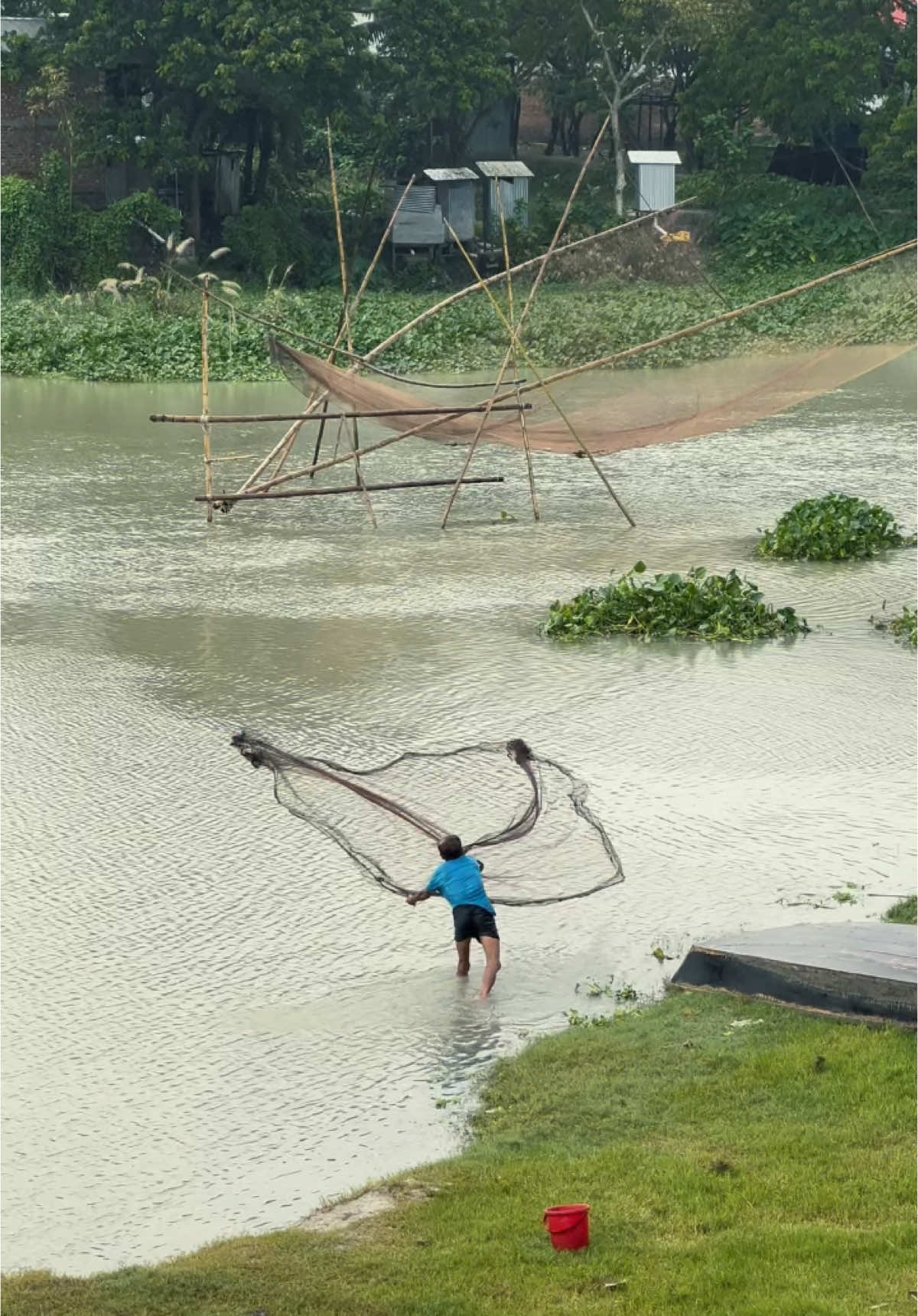 সে যে আমার জন্মভূমি 🇧🇩❤️