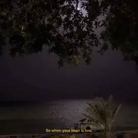 The Prophet ﷺ said, 