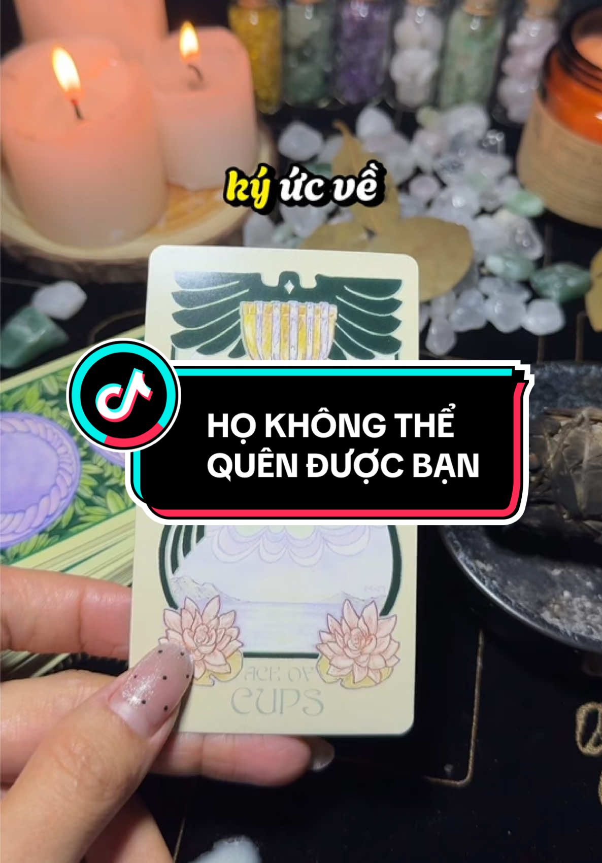 Người ấy sẽ sớm chủ động liên lạc lại 💫 #kellytarot #thongdiepvutru #thongdieptarot #tarotreading #tinhcam #manifest #boibaitarot #manifest #luathapdan #trending 