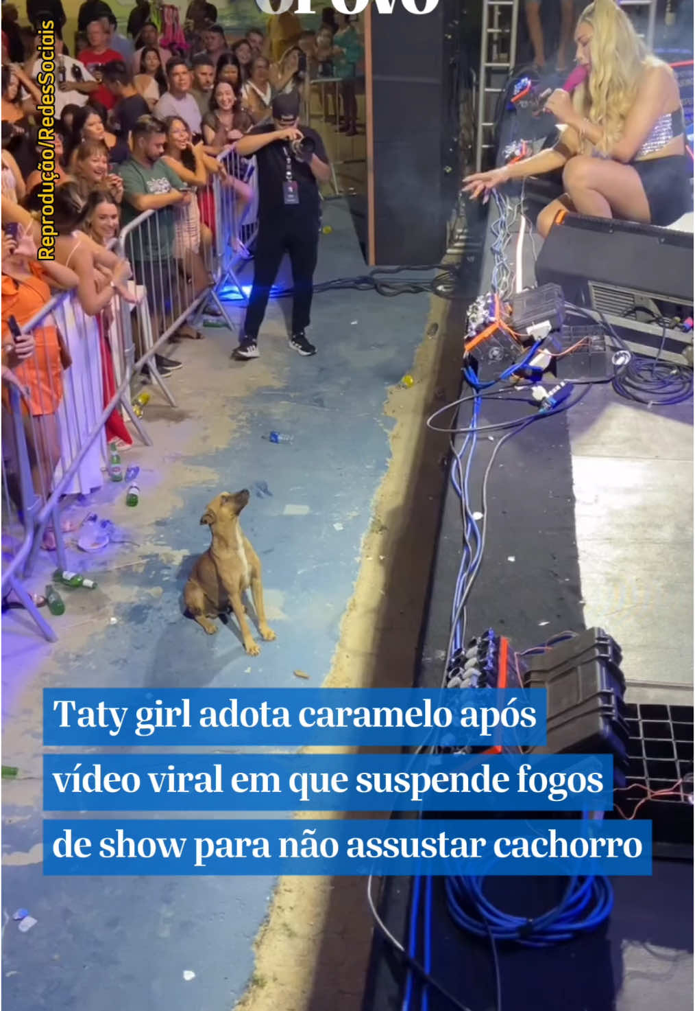 Taty Girl suspendeu o uso de fogos de artifício durante seu show para não assustar um cachorro caramelo que acompanhava sua apresentação. O animal estava bem próximo ao palco e encantou a cantora, que afirmou em suas redes sociais que decidiu adotá-lo. #opovo #tatygirl #caramelo #show