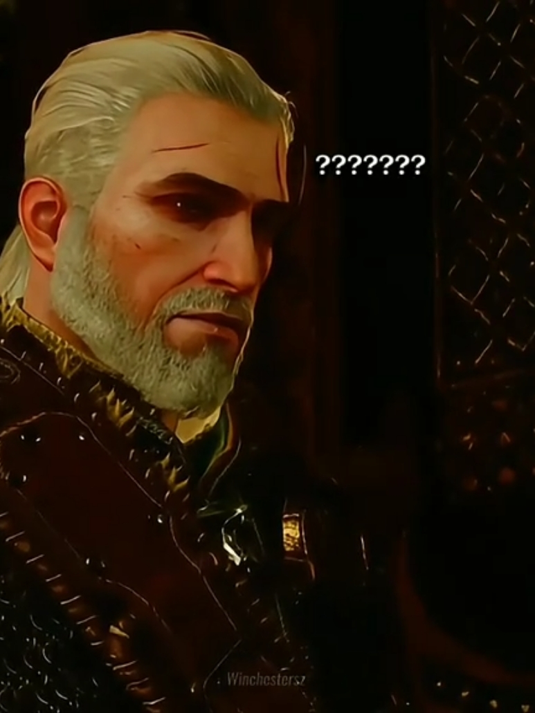 diálogos de milhões 😂 #thewitcher3 #thewitcher #geraltofrivia #gaming #edit #fouryou  #winchestergamersz 