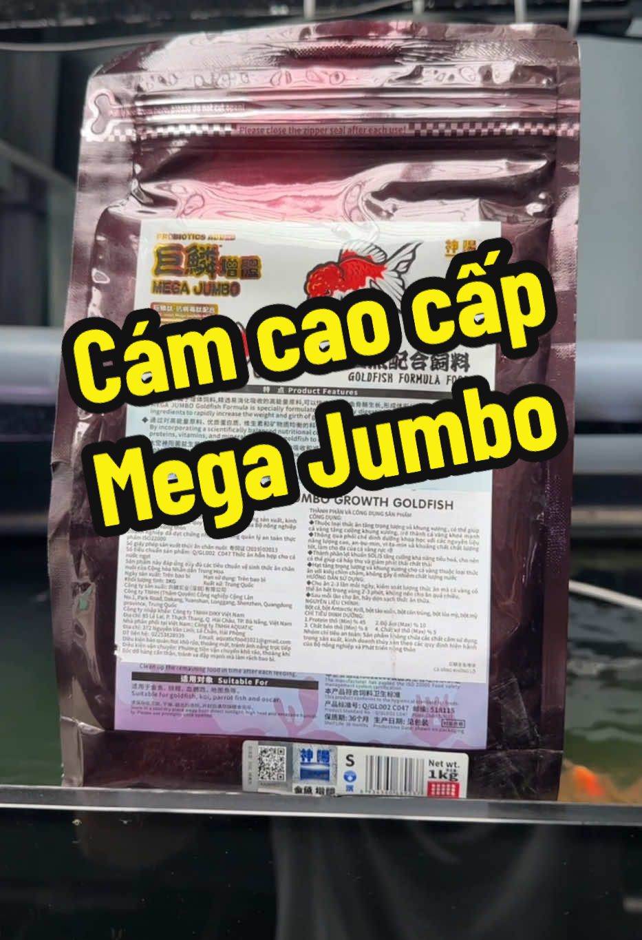 Cám cá vàng cao cấp Mega Jumbo #CapCut #oranda #cacanh180 #viral #MegaJumbo #xuhuong #cavang #ranchu 