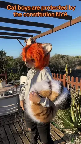 Purr 🐾 #Furry #Kemono #kigurumi #Fursuit #Fursuiter #FurryFandom #Furries #furriesoftiktok #furrytiktok #Fursona #fursuitersoftiktok #Furrylandom #Fursona #Cutefurry #Cutefursuit #kigurumimask     