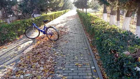 #capcut #kesfet #abdulla098 