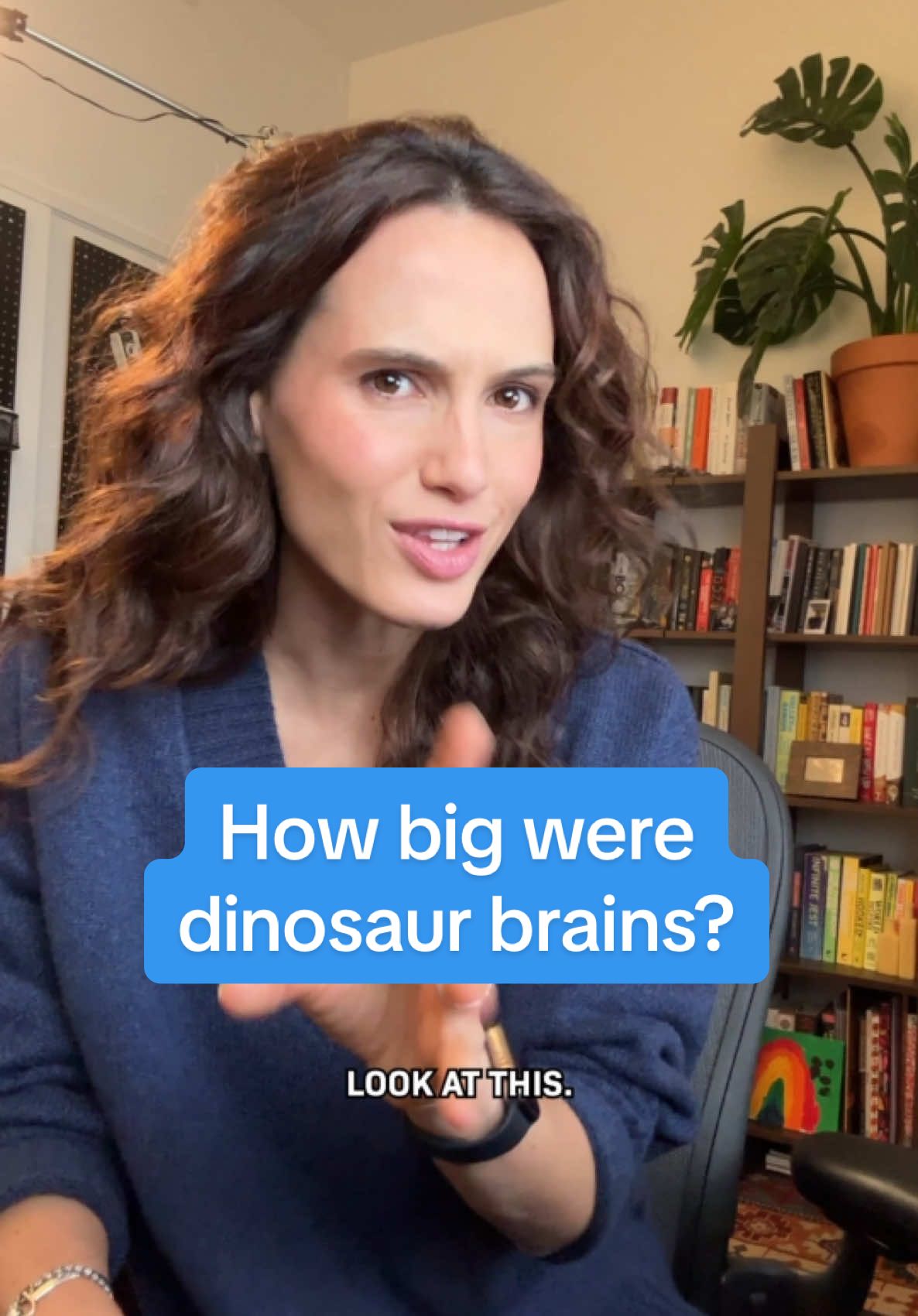 This is the actual size of the brain of a dinosaur the size of an elephant! After discovering a skull of a Pachyrhinosaurus, scientists put it through a scanner, which helped them to reconstruct what brain would have fit inside. Here's what they learned...  If you want to know more about dinosaurs, we made a whole longer episode for you! For more optimistic science and tech stories, follow for our show Huge If True. #dinosaur #Science #stem #brain #askcleo