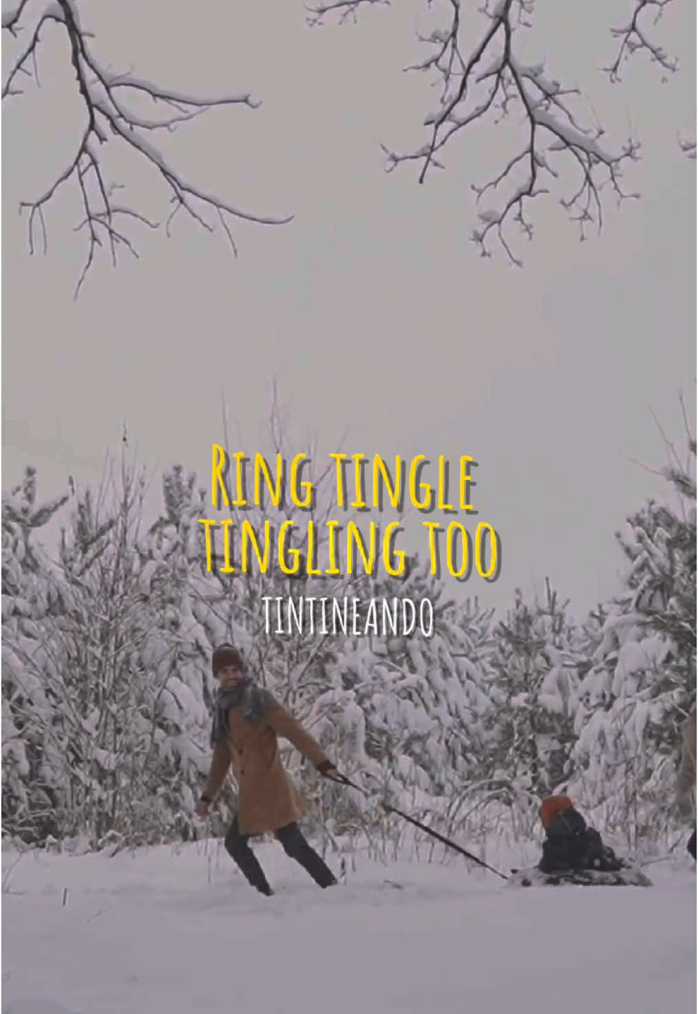 A una semana de Navidad!!!! 🎄☃️ #navidadentiktok #musicanavideña #feliznavidad #guadalupereyes 