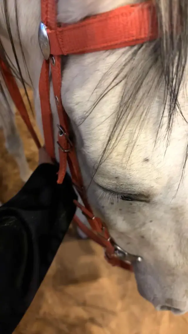 #عشوائياتsnapchat ✨