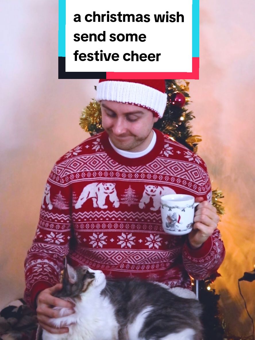 send this to them to spread some festive cheer 🎅💕 #achristmaswish #christmas2024 #festivecheer #songwritersoftiktok #originalmusic 