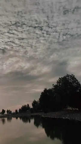 #سبحان_الله #alhamdulileh #لا_اله_الا_الله #الله_اكبر #لا_حول_ولا_قوة_الا_بالله #محمد_رسول_الله #الاسلام #قرأن #الحمدلله_دائماً_وابداً #راحة_نفسيه #الطبيعة #ياسر_الدوسري #🖤 #اكسبلور 