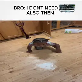 #dookiedemons #warframe 