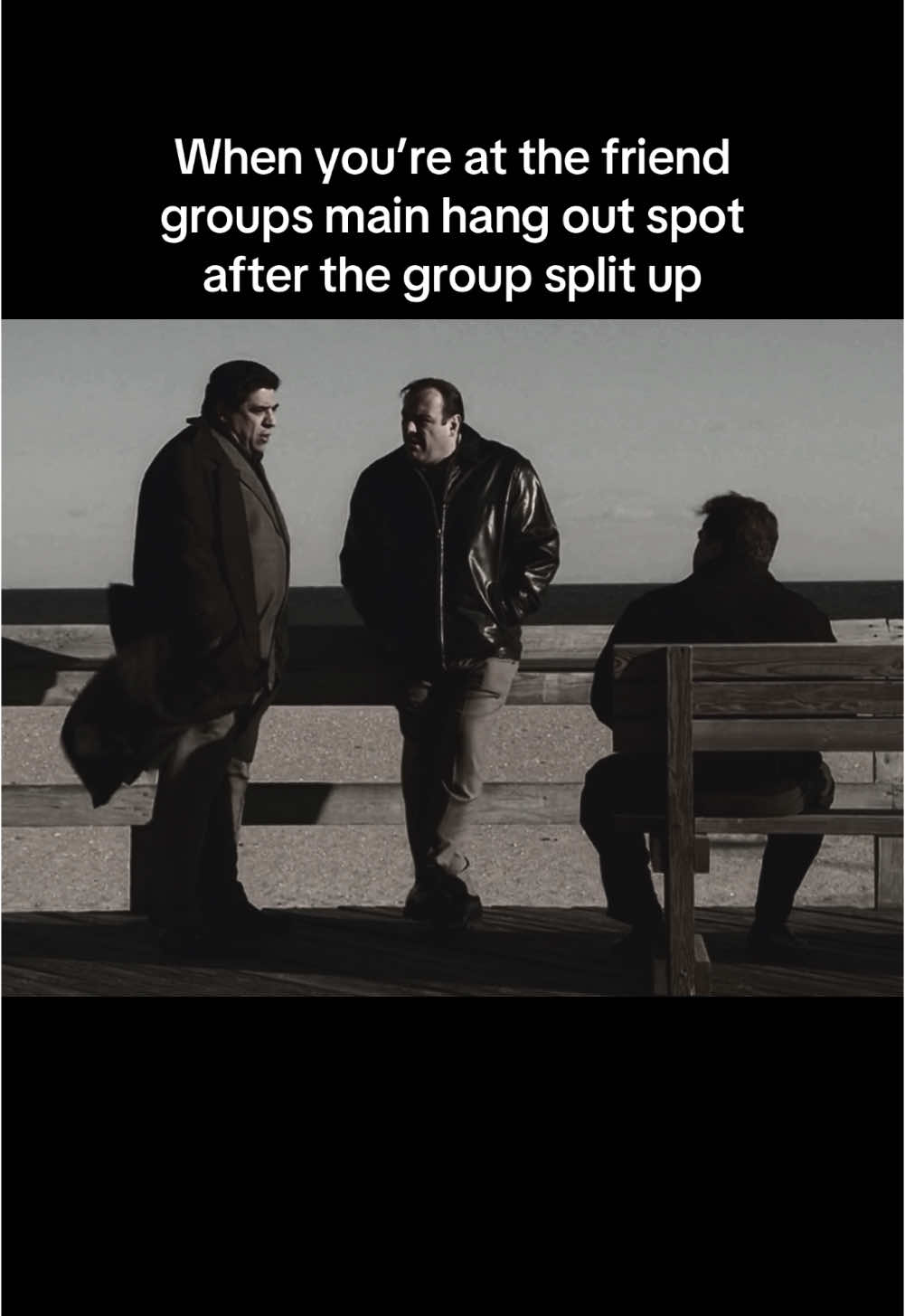 #meme #thesopranos #tonysoprano #tvshow #based 