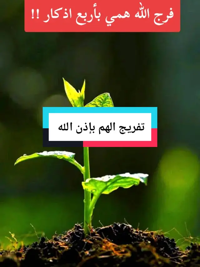 #الهم #الفرج_قادم_باذن_الله #اللهم_صلي_على_نبينا_محمد #اللهم_لك_الحمد_ولك_الشكر #سبحان_الله_وبحمده_سبحان_الله_العظيم #الحمدلله_دائماً_وابداً @Quran-drwch @YAHYA @دعاء 