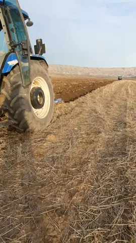 ئەگەر جوتکردنە کەت ئاوانەبوو گاسن هەڵگرەوە بڕۆوەلۆمارێ...💪