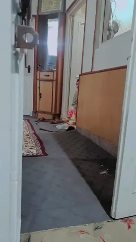 kitni masoom hti hain ye betiyan ❤mashAllah mashAllah 🤗🤗  #minha #foryou