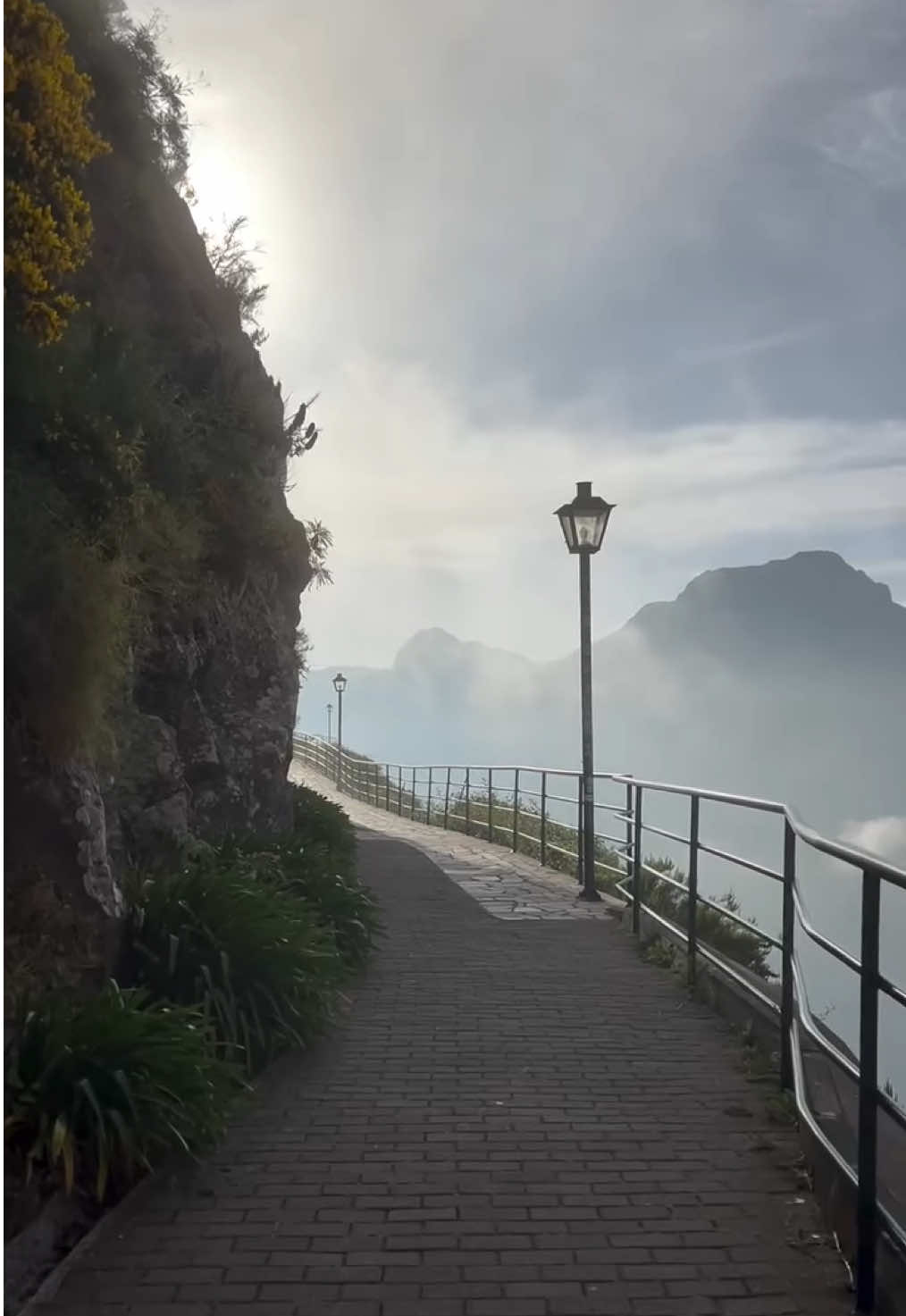 There’s something about hiking in Madeira 🥾🌿⛰️ The way the wind rushes past as you stand on a jagged peak, the ocean stretching infinitely below, and the clouds swirling so close you feel like you could step into them. It’s not just walking. It’s freedom. It’s weightlessness. It’s like you’ve traded gravity for wings, and every step takes you closer to a place where limits don’t exist. Madeira isn’t just a hiking destination—it’s where the earth, sky, and sea come together to make you feel like you’re part of something bigger. 🗺️ Want to feel it for yourself? My INTERACTIVE GUIDE TO MADEIRA is packed with the island’s most breathtaking hikes, secret trails, and must-visit spots. Save time preparing and focus on the adventure!  🔗Link in bio!👆🏻 #HikingMadeira #MadeiraIsland #HikingAdventures #VisitMadeira #EpicTrails #IslandViews #NatureEscape #MadeiraTrails #ExplorePortugal #DiscoverMadeira #BucketListHikes #ScenicVistas #TravelPortugal #WanderlustInspo #AdventureTime