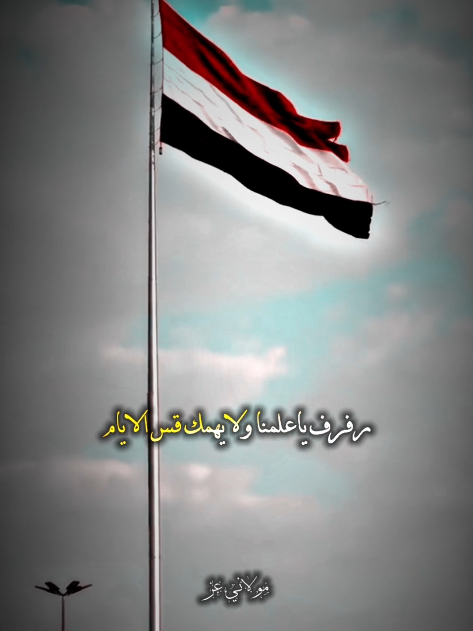 رفرف ياعلمنا ولا يهمك قس الايام #اكسبلور #احرار_اليمن🇾🇪 #الشاعر_مولاني_عز #foryou #viral #fyp #احرار #الشام #قحطان #الامويين #مولاني_عز #منشن #منشن_شخص_تبي_يشوف_المقطع #الحمدلله_ع_نعمة_الاسلام 