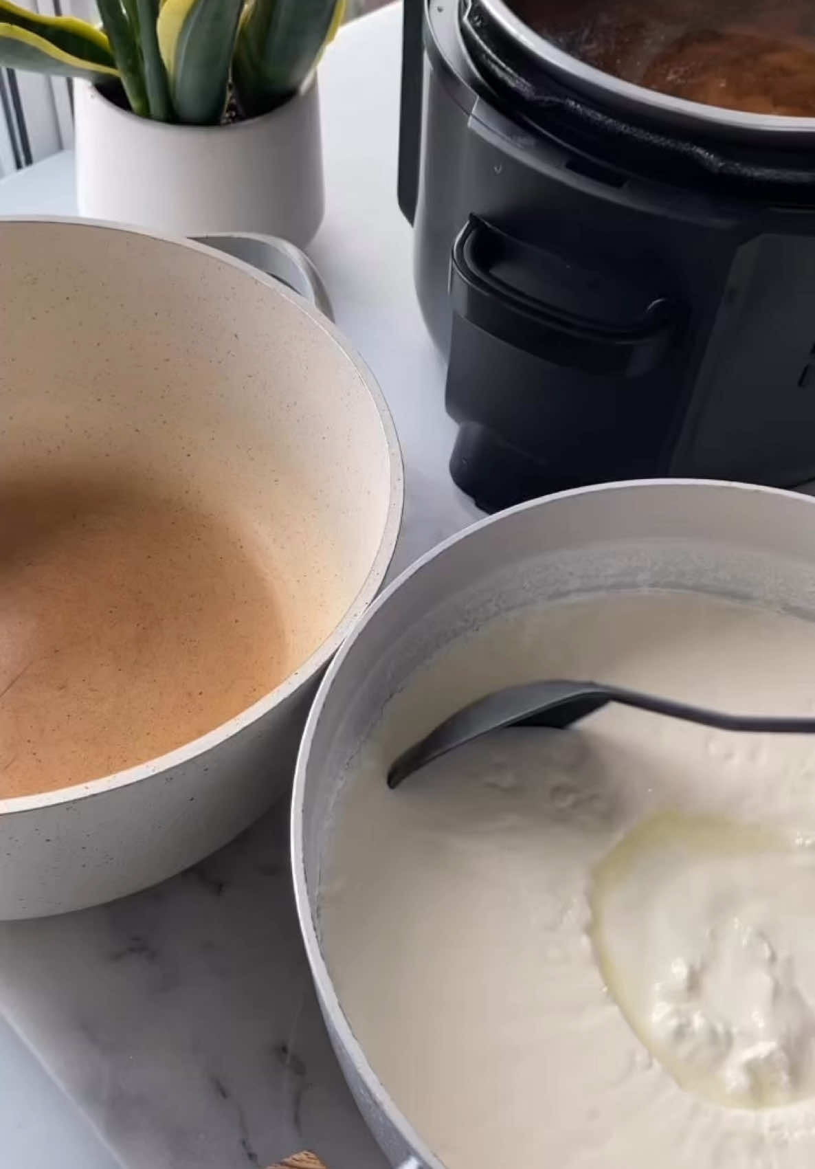 Homemade yogurt 🐮  Skip the grocery store and use what’s left on the bottom of your yogurt container to make a whole new batch of homemade yogurt!  CHECK THE COMMENTS FOR TIPS & NOTES! Why make your own yogurt? 1. Milk is cheaper than yogurt 2. Use the last batch of yogurt to make a new batch.. Infinite yogurt glitch 3. Uhmm hello.. you just made your OWN YOGURT. You’re basically a self sufficient farmer now Give it a try ⤵️ 4L whole fat milk  1 tsp plain whole fat yogurt Add the milk to a large pot and heat it up on the stove, stirring constantly, just until it comes up to just before boiling point (about 180F), once you see the first sign of a bubble, you can remove from the heat. Reserve 1 ladle of the hot milk in a bowl to cool down faster than the pot. At this time, also set aside 1 tsp of yogurt in another bowl to come to room temperature.  Then, cool down the pot of milk to 120F by placing it in an ice bath in the sink for about 10 minutes, or about 30 mins just sitting at room temp without the ice bath. You know it’s cooled enough when you can withstand putting your pinky in it for 10 seconds, or use a thermometer. It should still be hot. Remove it from the ice bath.  Mix together the reserved yogurt starter into the reserved ladle of milk (doesn’t need to be totally smooth), then add it to the pot of milk and whisk it in gently.  Cover the pot with a lid, then with a couple layers of towel or blanket. Set it aside somewhere draft-free where it won’t be bothered or touched. Let it incubate untouched for anywhere between 8-30 hours, depending on the level of tang your looking for. The longer it incubates, the thicker it’ll be and the more sour it’ll be. I do 24 hours for a tangy yogurt used in Arabic cooking. After 24 hours, unravel the towel/blankets and transfer straight to the fridge for a minimum of 6 hours (preferably overnight) before scooping from it. Try not to open the lid so as not to introduce new bacteria into your yogurt.  Enjoy in your dips, sauces, salads, and stews!! 
