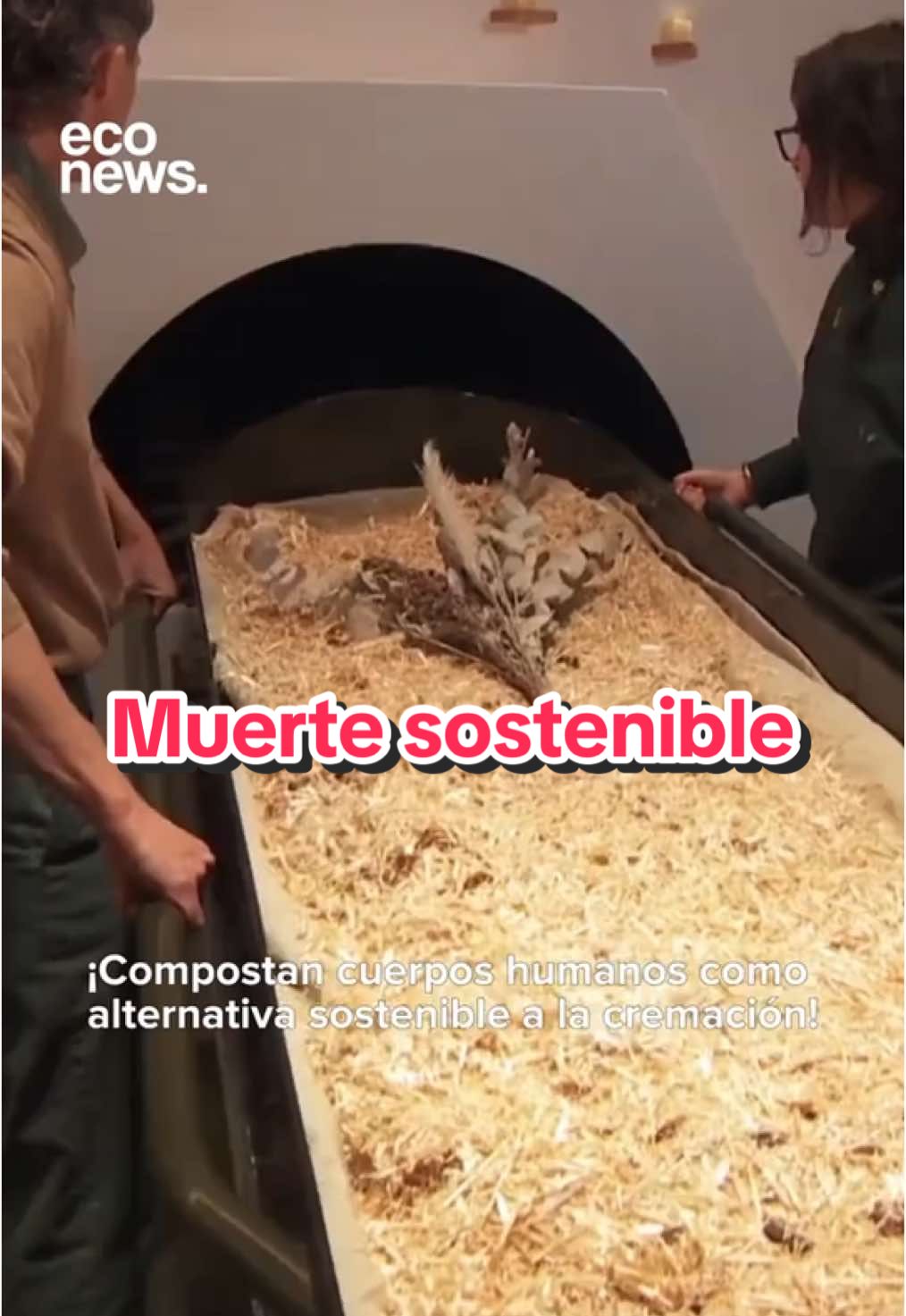 ¿Dejarías que composten tu cuerpo para morir de una forma más sostenible? 😮 Empresas en EE. UU. y Suecia ofrecen la opción de compostar el cuerpo humano tras la muerte, evitando la contaminación y el daño ambiental. Esta práctica permite que el cuerpo se convierta en fertilizante para árboles y flores, promoviendo la sostenibilidad. #eco #invento #compostaje #muerte #naturaleza
