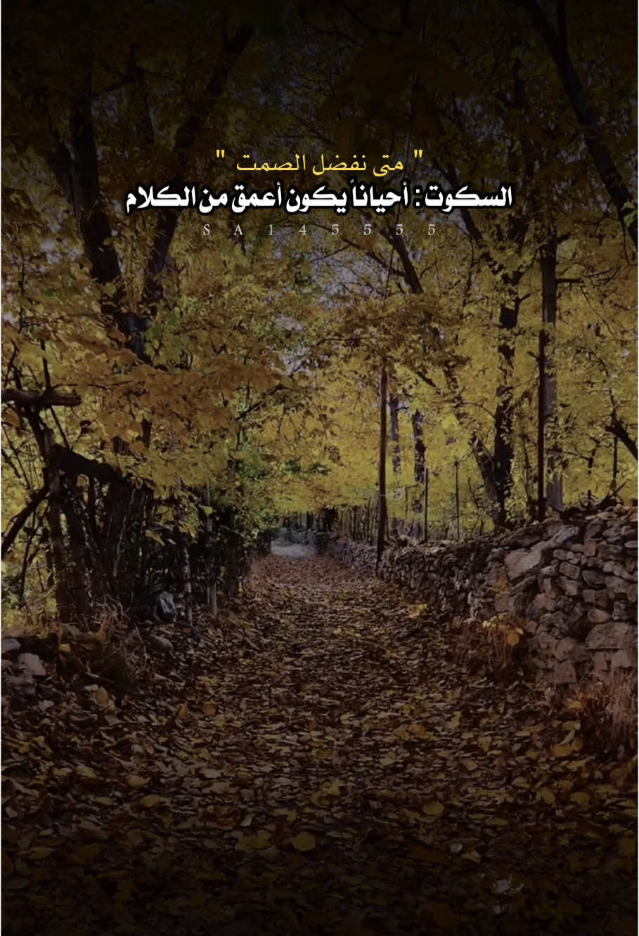 السكوت 👌🏼