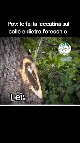 Una fontana Seguite la pagina per altri Meme #neiperte #perte #foryou #andiamoneiperte #meme #viral 
