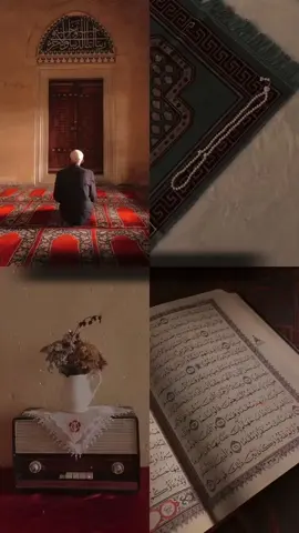 قد أأفلح من تذكي ♥ #خالد_الجليل_تلاوه_تهز_القلب #quran #خالد_الجليل #قران_كريم #foryou #foru 