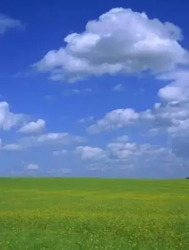 Dreamcore Photos 👁️🌈🍄✨#dreamcoretiktok #fpy_tiktok #fpyyyyyyyyyyyyyyyyyyyyyy #fpyツ #dreamcore#fpyyyyyyyyyyyyyyyyyyyyyyyyyyyyy #fyyyyyyyyyyyyyyyyyyyyyyyyyyyyyyyyyy #dreamcore👁️🌈🍄 