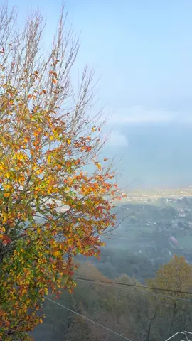 #foryou #foryoupage #zakaria 