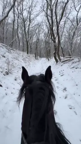 #دربنا_درب_طويل 🔥