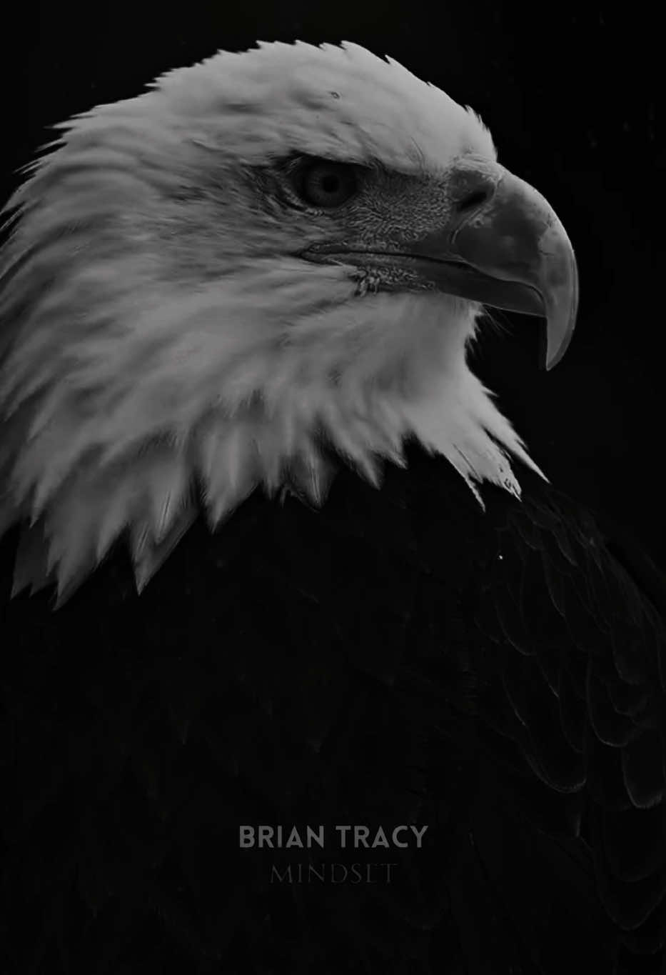 Por qué la comodidad te aleja de la riqueza  #motivacional #briantracy #inspiracional #paratiiii #motivacionpersonal