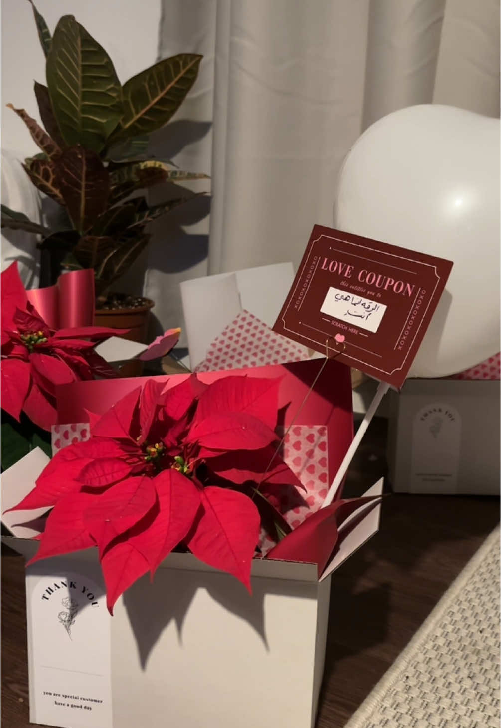 تجهيييز اول طلبات للمتجر بكل حب 🤍🤍🤍🤍 #حفرالباطن_الان #حفرالباطن_القيصومه #نباتات #هدايا #اكسبلورر #اكسبلورر #explore 