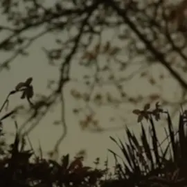 Seven| Taylor Swift  . . . #seventaylorswift #folkloretaylorswift #taylorsversion #taylorswift #theerastour #fyp #parati #paratiiiiiiiiiiiiiiiiiiiiiiiiiiiiiii 