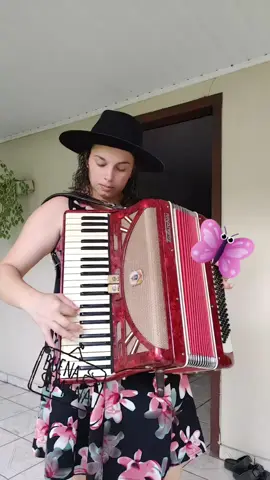 #brasil #dança #dublagem #gaitaponto #acordeon #gaiteira #musica #mexepralamexepraca #sanfona #janabarth #gaiteira 