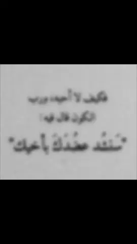الأخ هو السند والعون في الحياة، هو رفيق الدرب في الأفراح والأحزان. يقول الله تعالى في كتابه الكريم: 